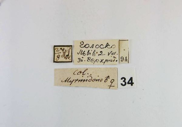 Етикетки одного зразка із колекції Івана Верхратського